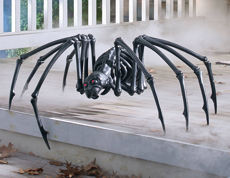 Massive Black Spider Skeleton