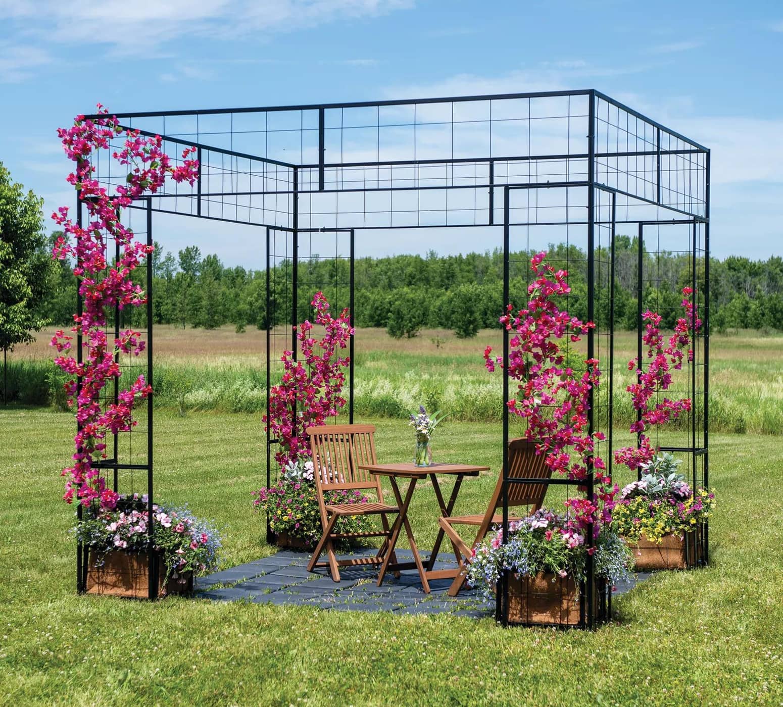 Massive Gazebo Trellis for Flowering Vines and Climbing Plants