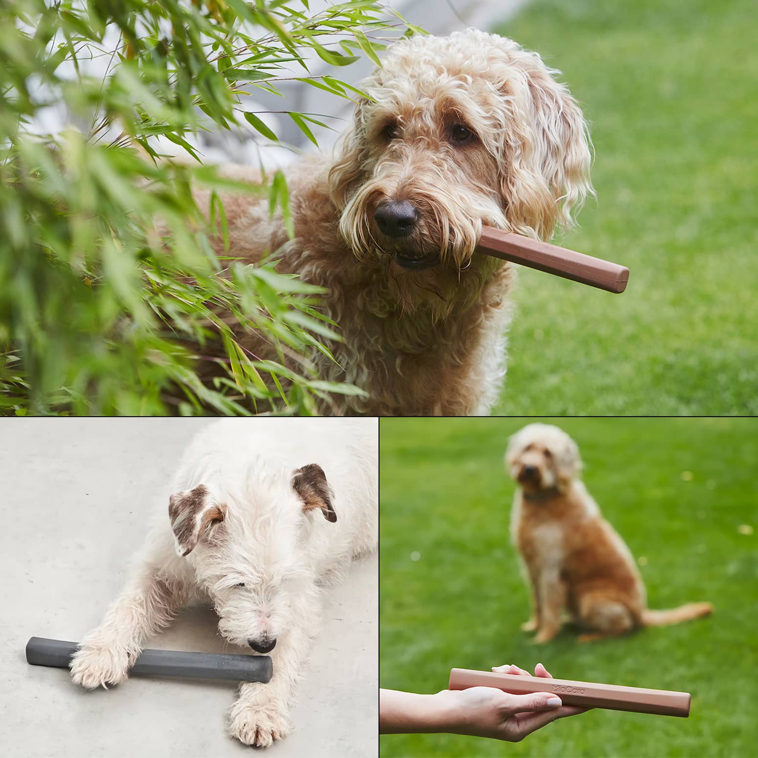 MiaCara Ramo - Minimalist Stick Dog Fetch Toy