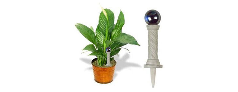 Fancy Plants - Miniature Gazing Ball Plant Ornament