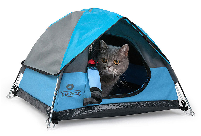 Miniature Tents For Cats