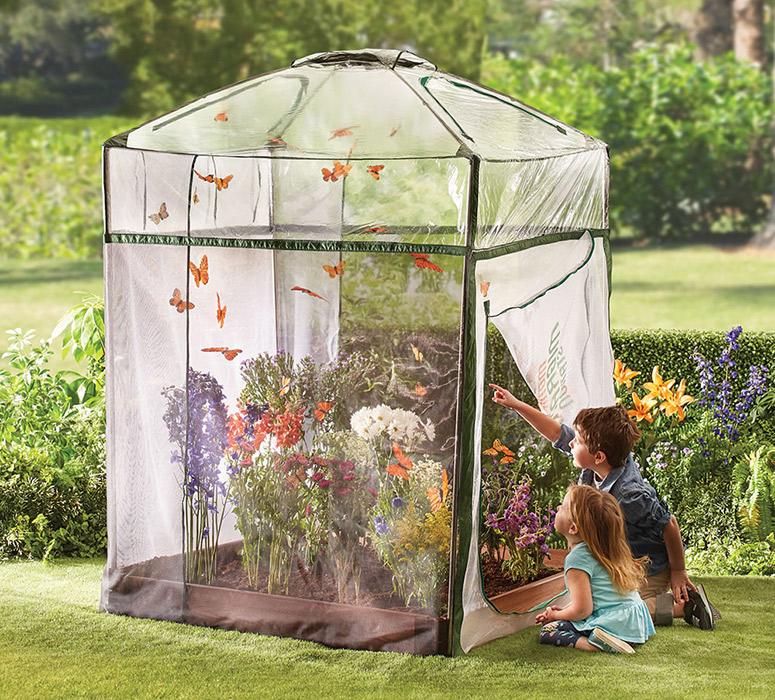 Monarch Butterfly Attracting Sanctuary