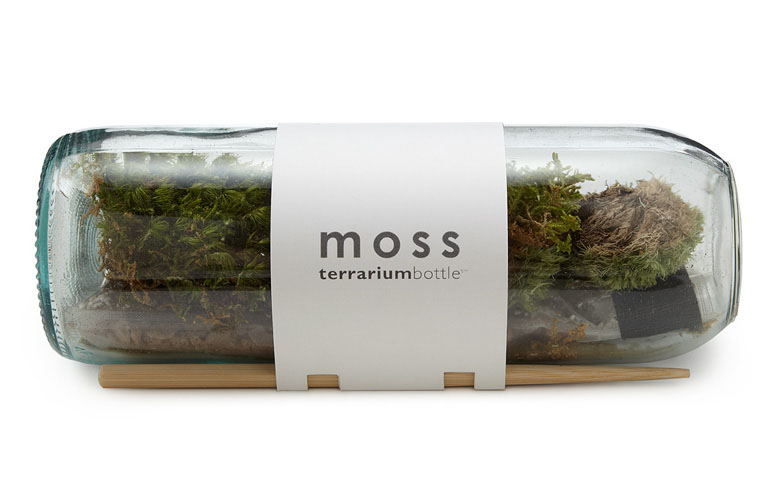 BioDude Live Terrarium Moss - Natural Pillow Moss