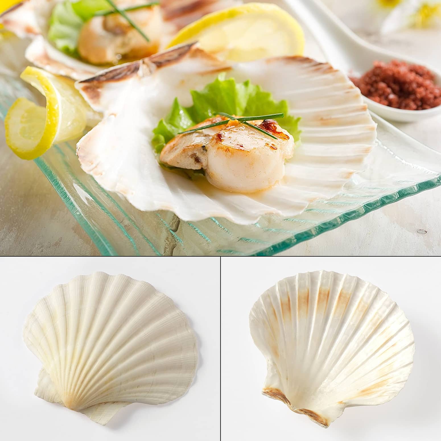 Natural Baking Seashells - Bake and Serve Right in the Shell