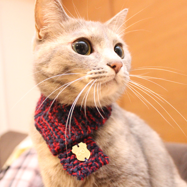 Neko Muffler - Knitted Cat Scarf