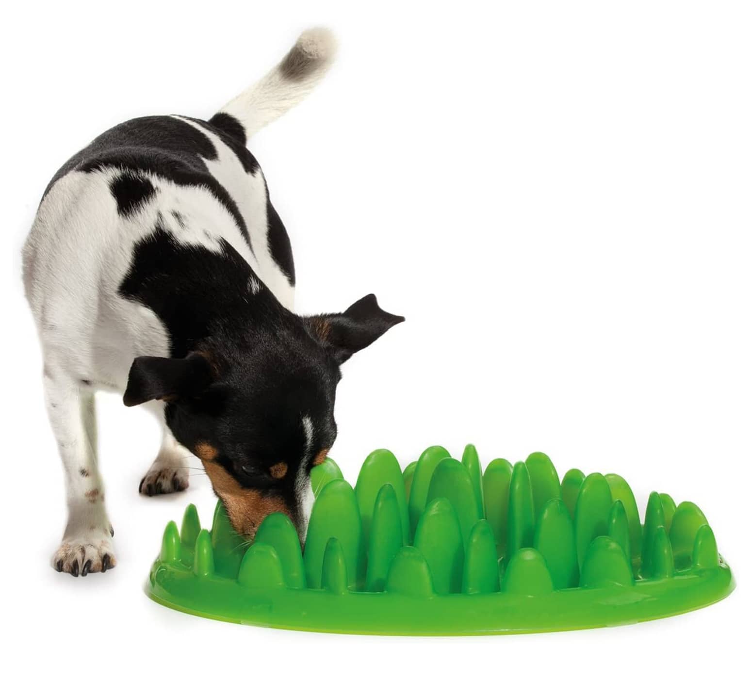 Northmate GREEN - Interactive Slow Feeder For Dogs