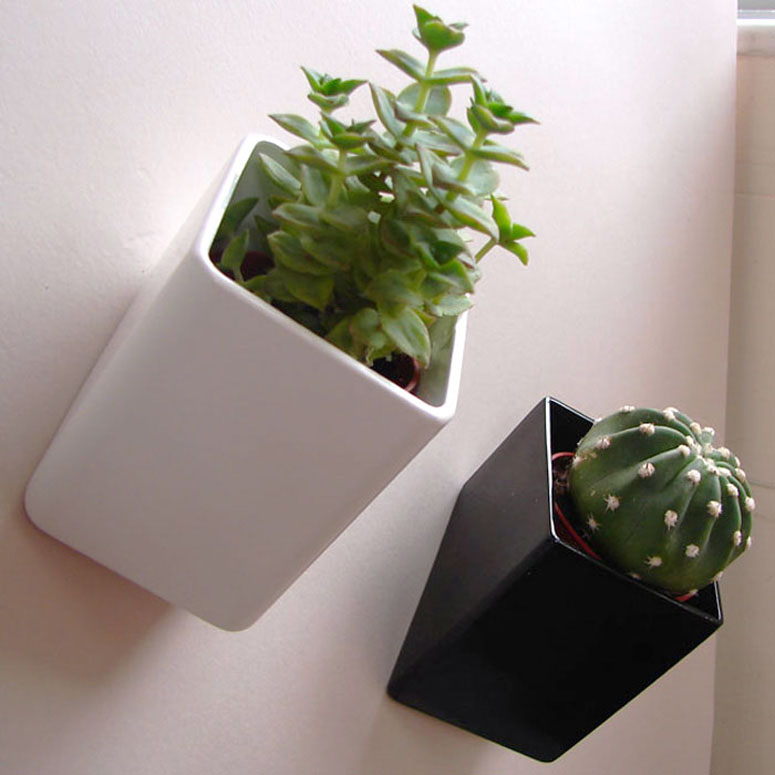 Off The Wall Mini Flower Pots