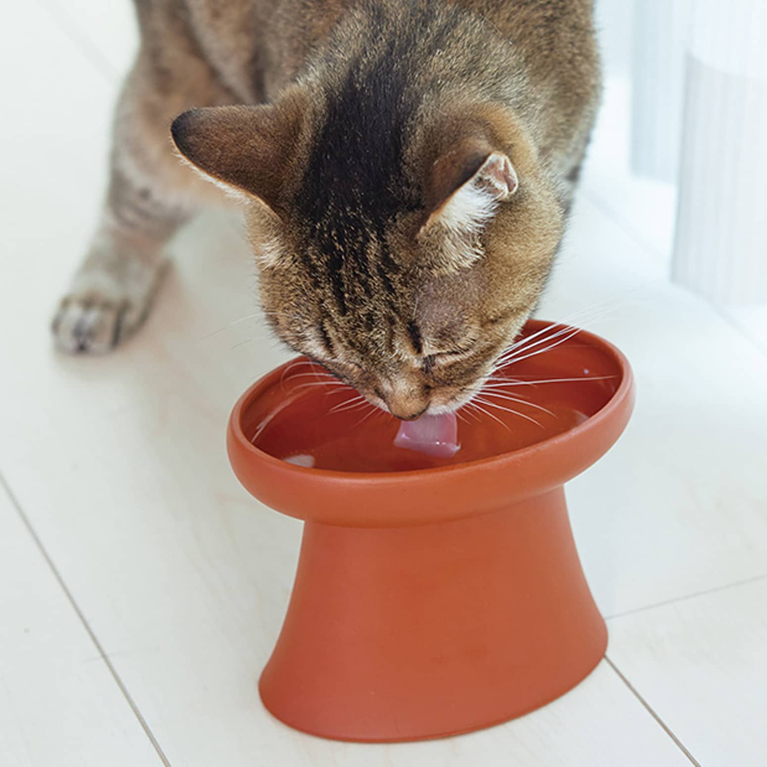 OPPO TokoBowl - Elevated, Whisker-Friendly Cat Water Bowl