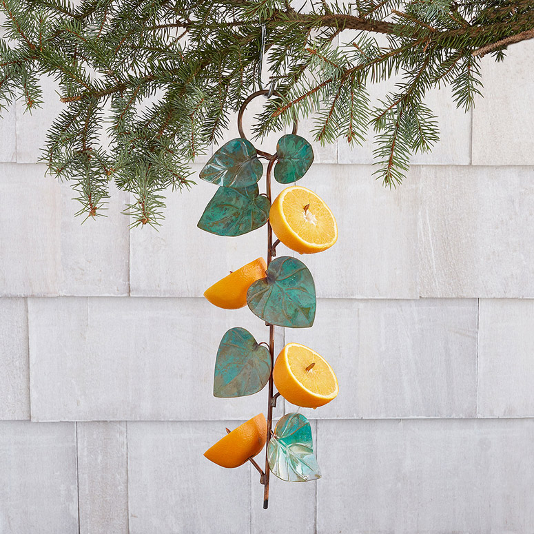 Oranges / Fruit Bird Feeder - Attracts Orioles, Cardinals, Robins, and More