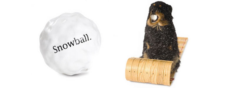 Orbee-Tuff Snowball Dog Chew Toy