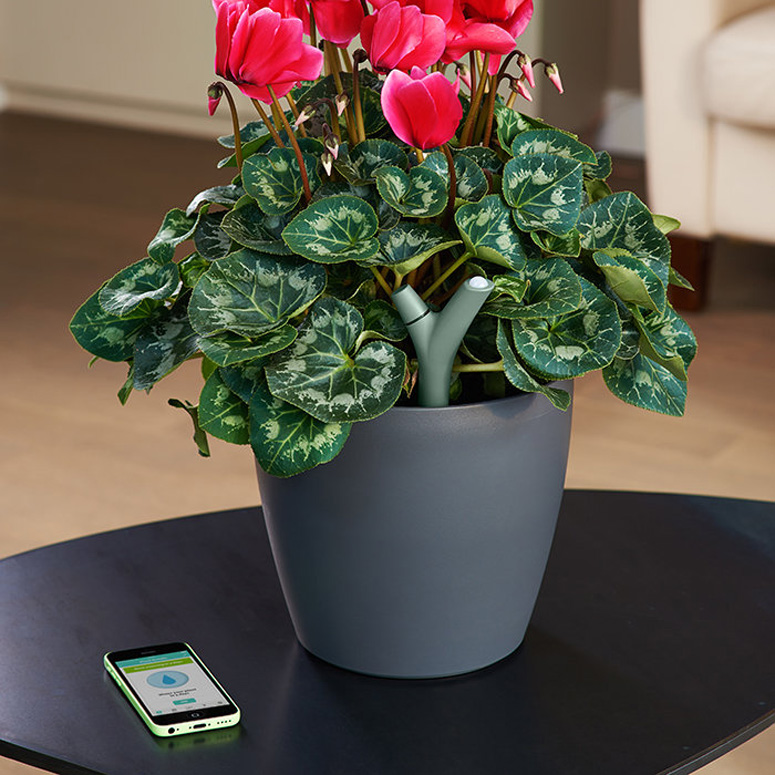 Parrot Flower Power - App-Controlled Smart Plant Monitor