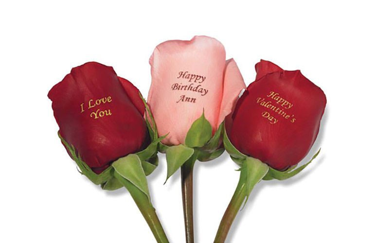 Personalized Roses - The Perfect Valentine's Day Gift
