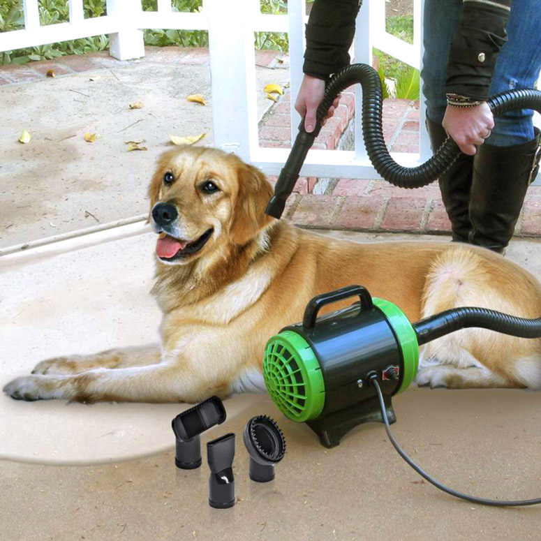 Pet Styling System