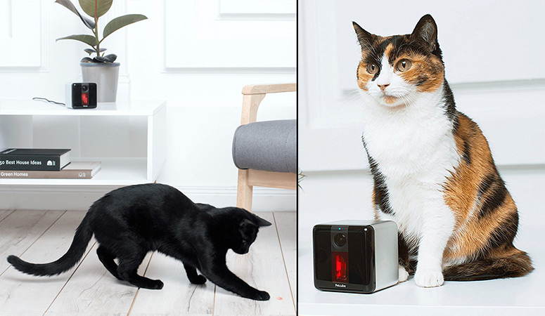 Petcube Play - Interactive HD Pet Video Camera With Built-in Laser Toy
