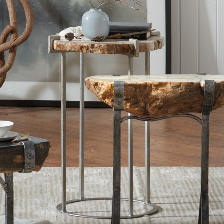 Petrified Wood Accent Table