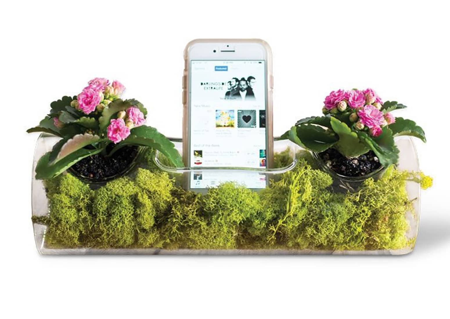 Plant AMP - Smartphone Speaker Amplifier / Glass Planter