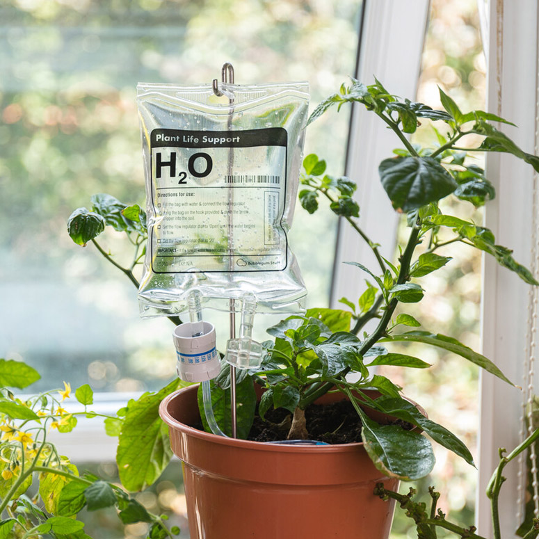 Plant Life Support - H2O IV Drip Bag
