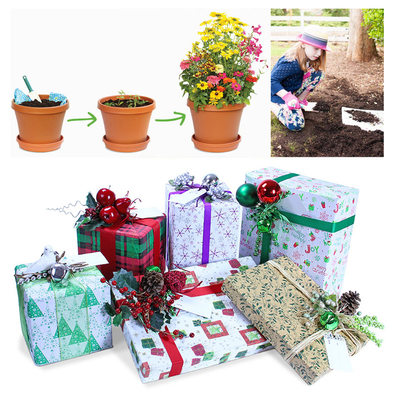 Plantable Wrapping Paper - Biodegradable Seeded Gift Wrap