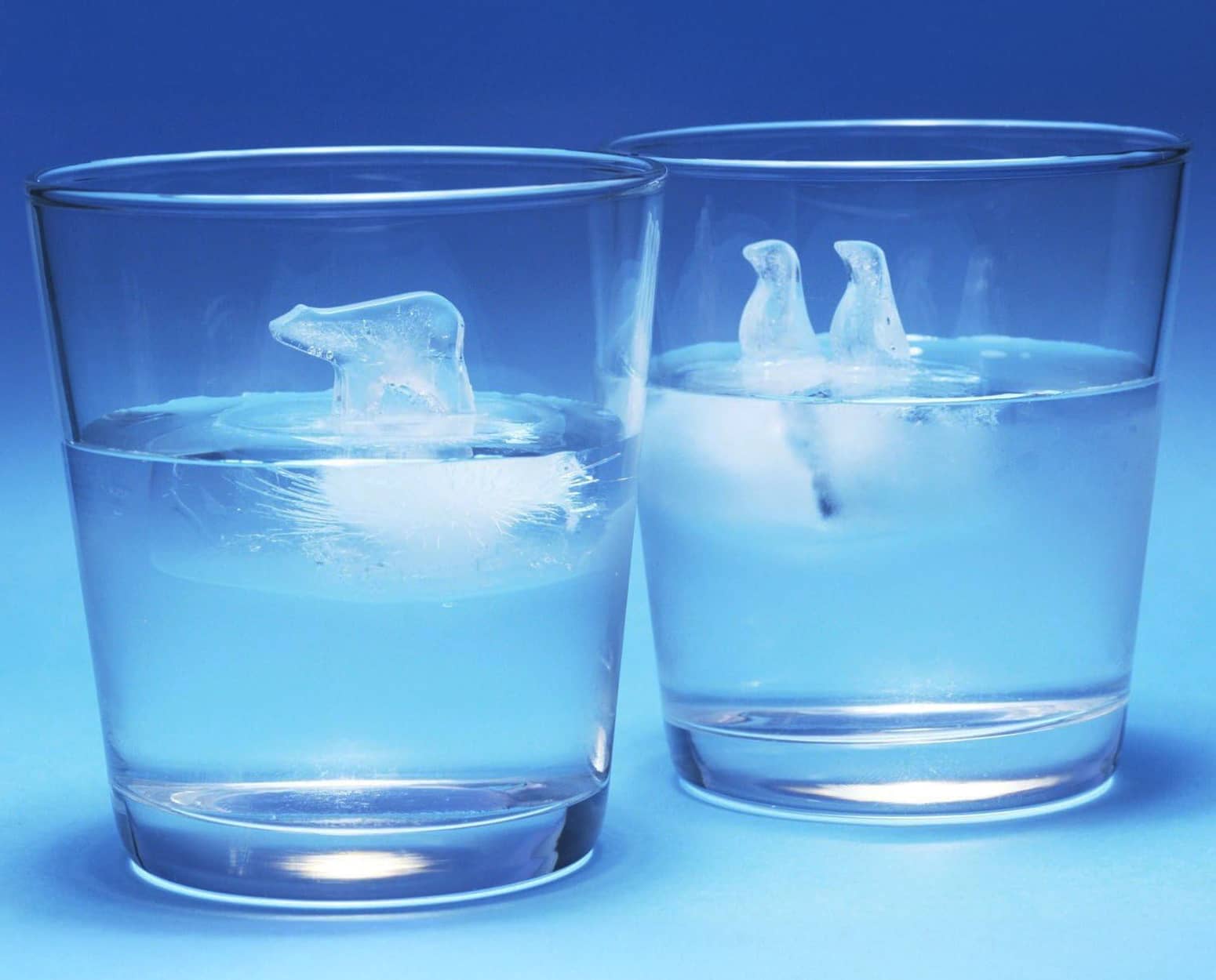 Polar Ice Cube Molds