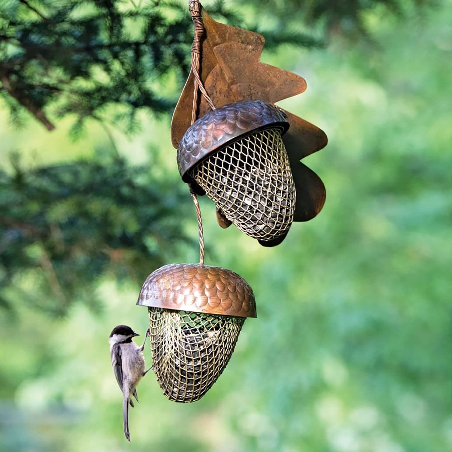 Rustic Acorn Bird Feeders