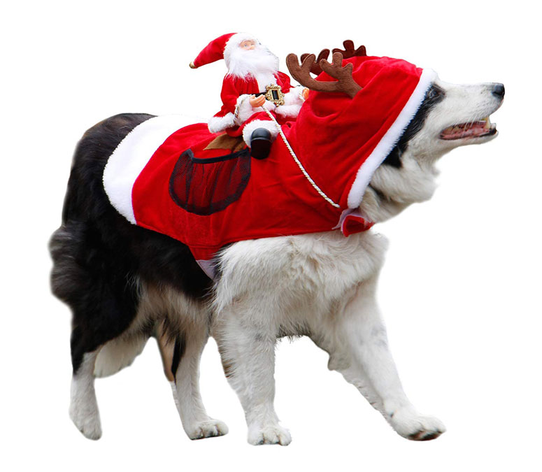 Santa Riding a Dog Costume