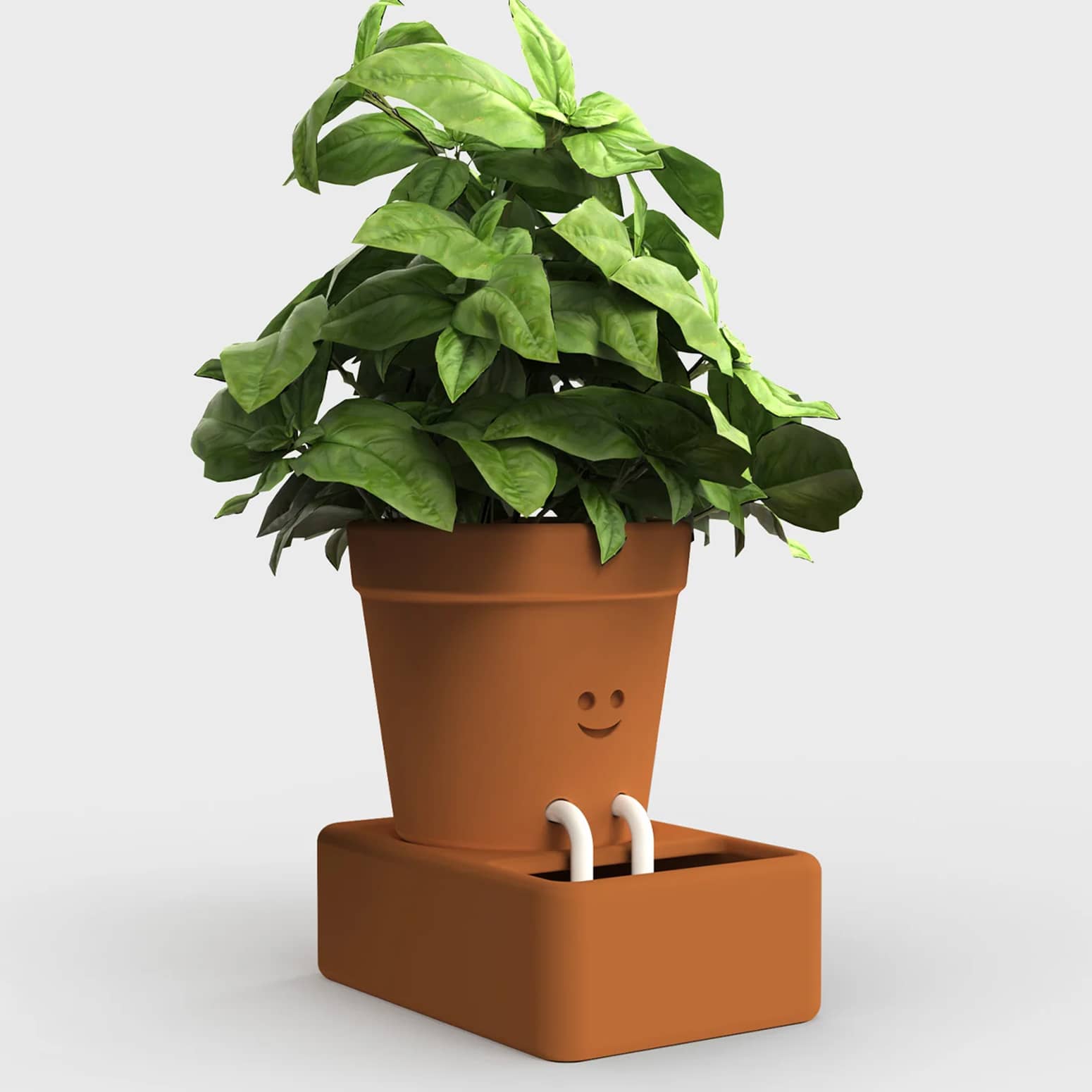 Self-Care Planter