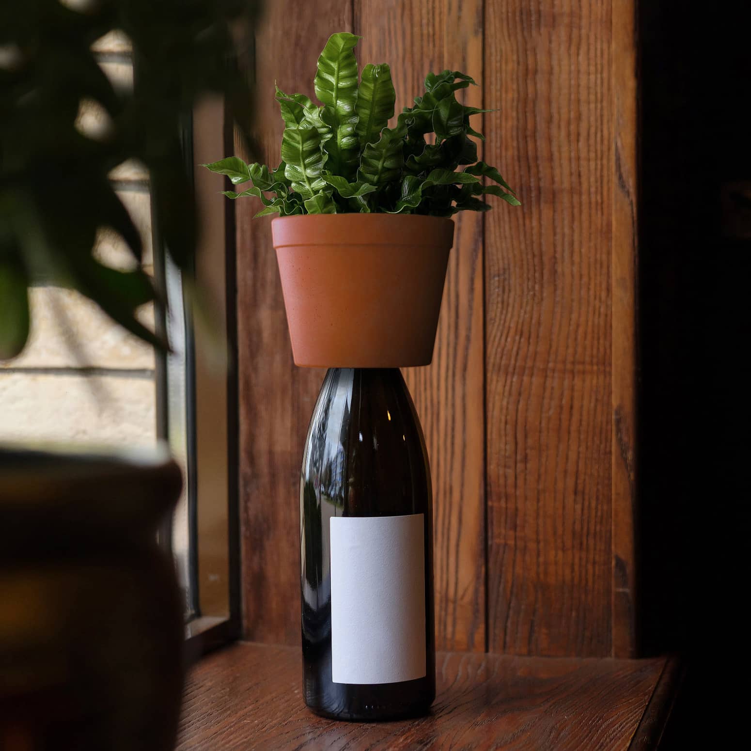 Self-Watering Wine Bottle Planter