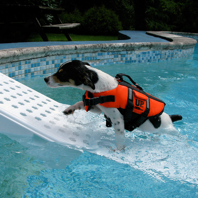 Skamper Ramp - Swimming Pool Pet Ramp