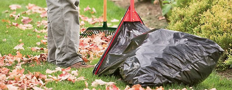 Rake and Lawn & Leaf Bag Kits for Sale