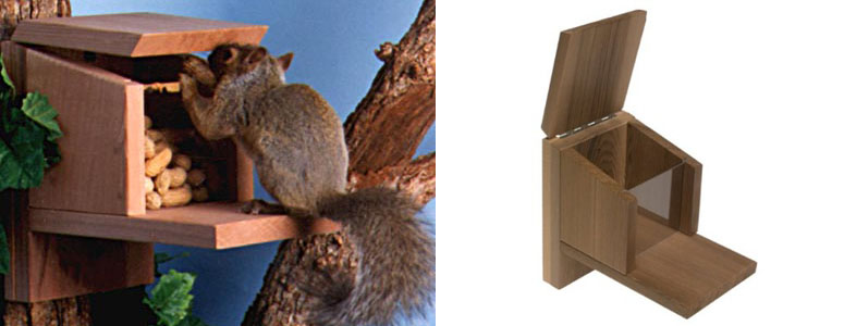 Squirrel Munch Box