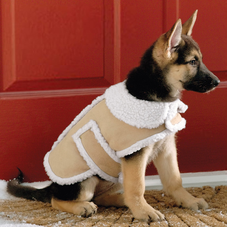 Stylish Sheepskin Dog Coats