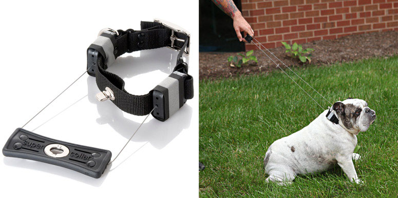Supercollar - Dog Collar With A Built-In Leash