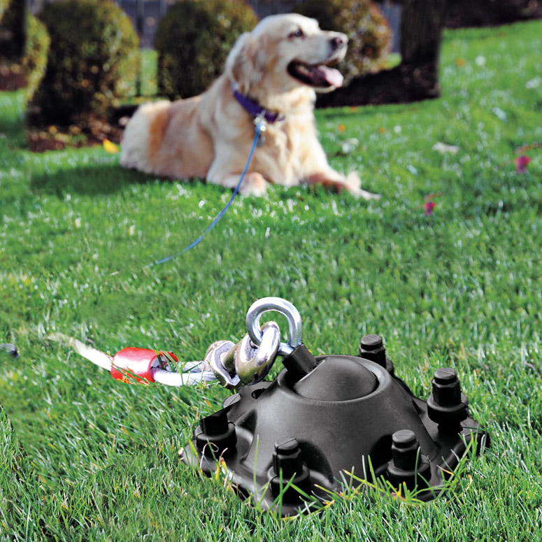 SUREswivel - 360 Degree Swiveling, Tangle-Free Pet Tie-Out