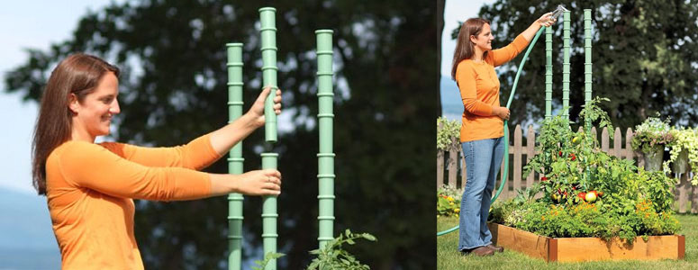 Tomato Watering Stakes