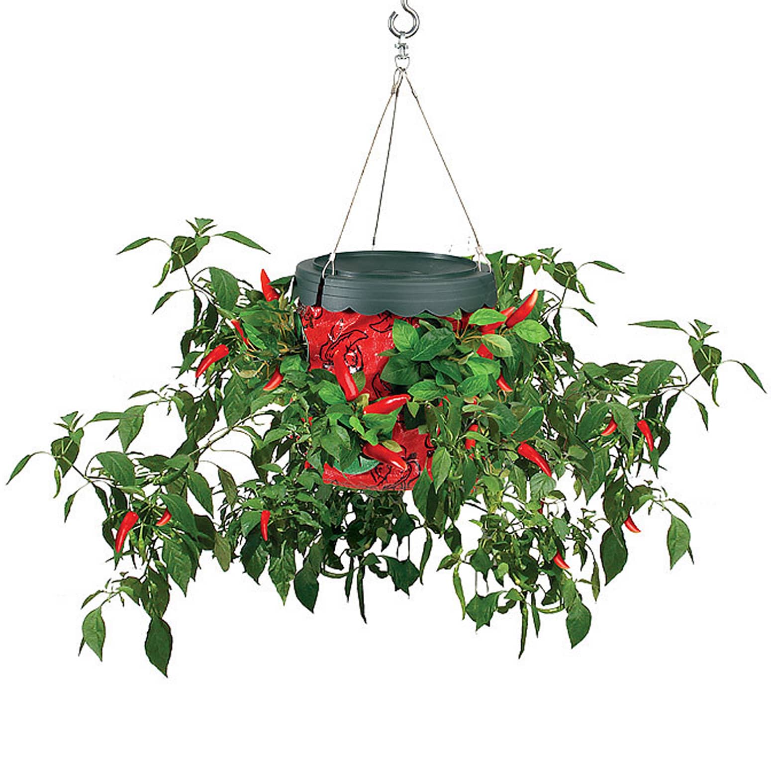 Topsy Turvy Upside-Down Hot Pepper Planter