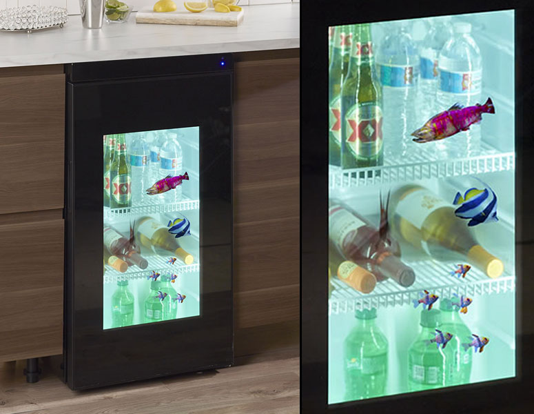 Transparent Video Door Mini Refrigerator