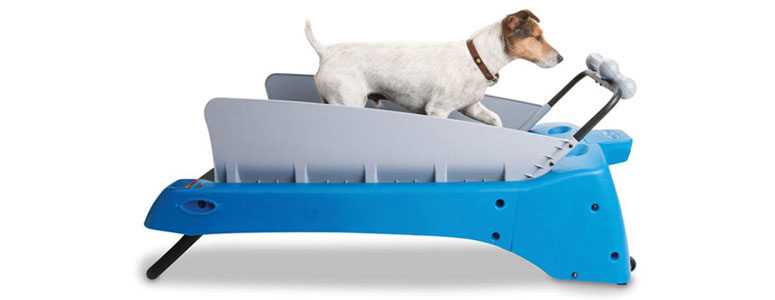 Treadmill for Dogs