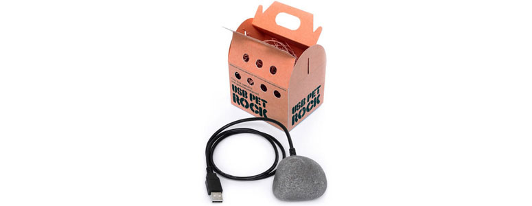 Metafor postkontor lave mad USB Pet Rock | The Green Head
