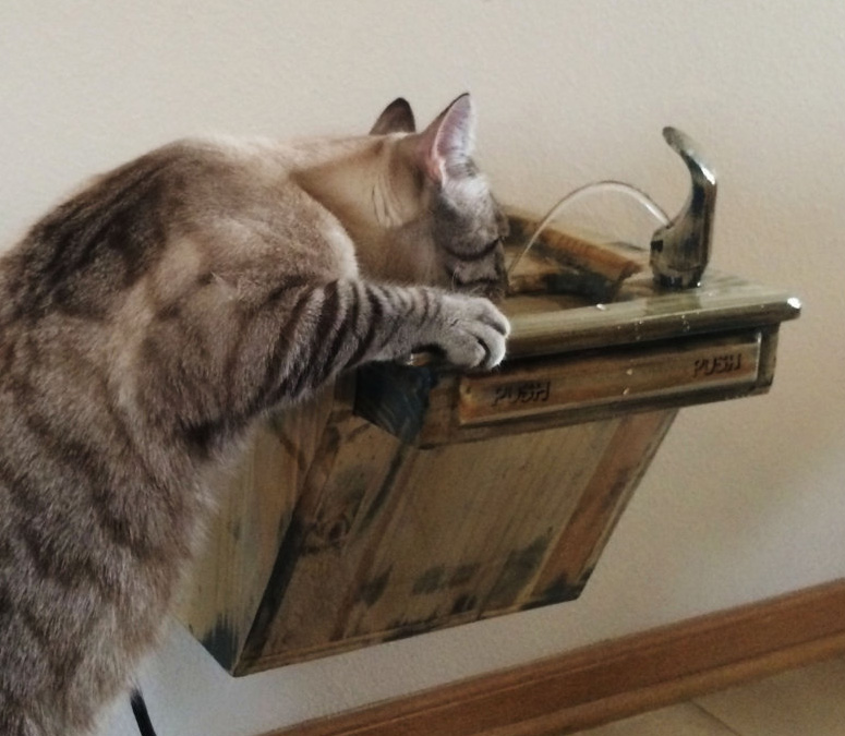 Wall-Mounted Cat Drinking Fountain