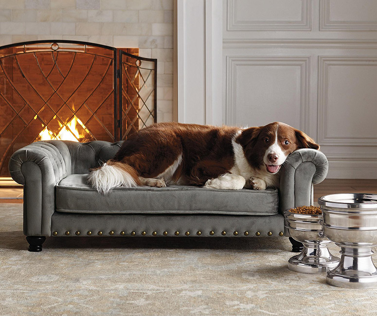 Wentworth Tufted Dog Sofa