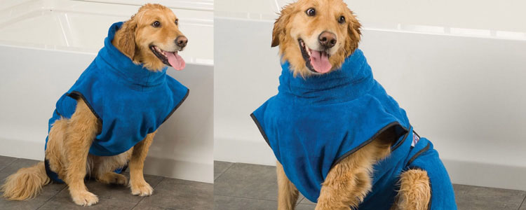 Wet Dog Wrap