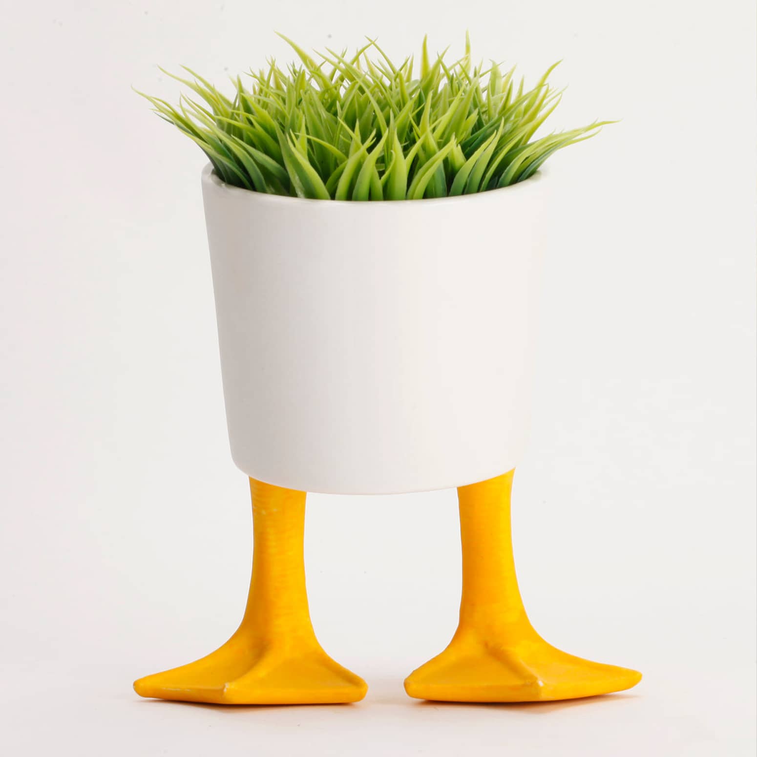 Whimsical Duck Feet Planter