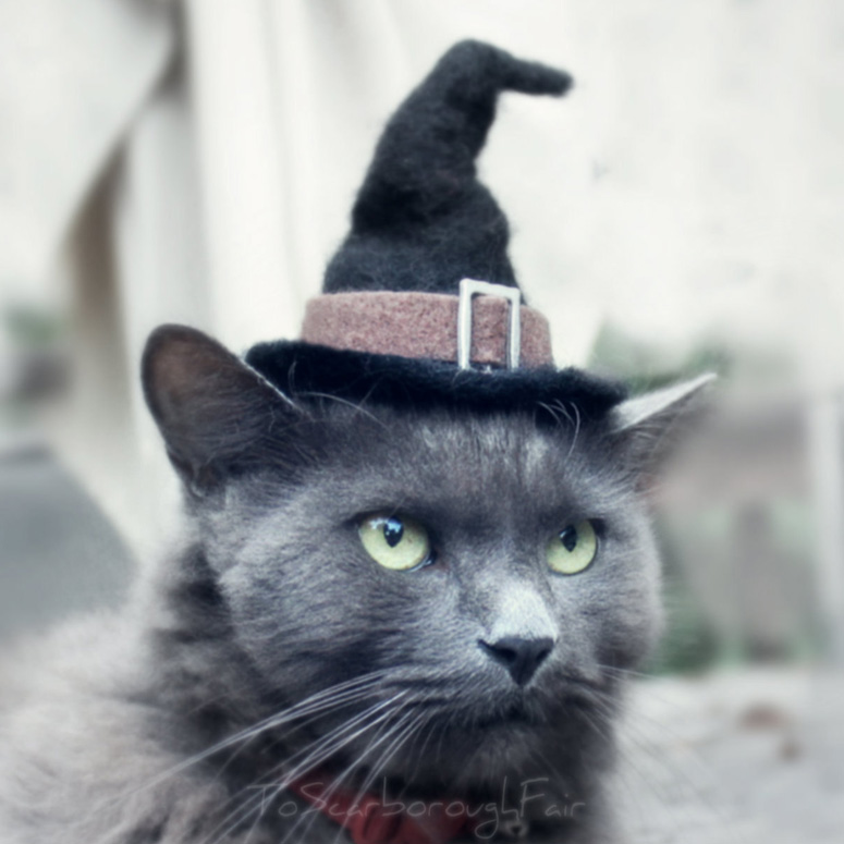 Witch Hat For Cats