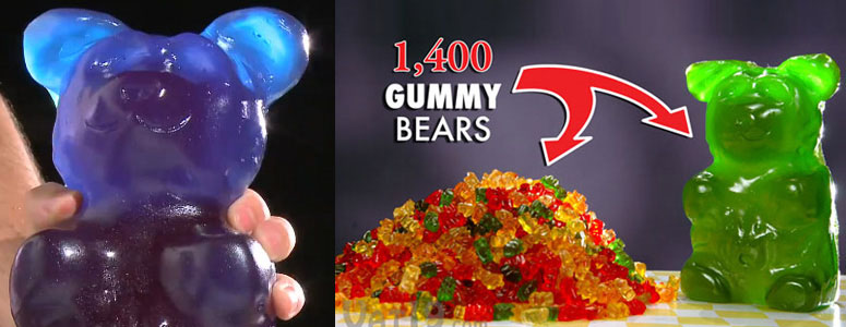 World's Largest Gummy Bear - Five Pounds!
